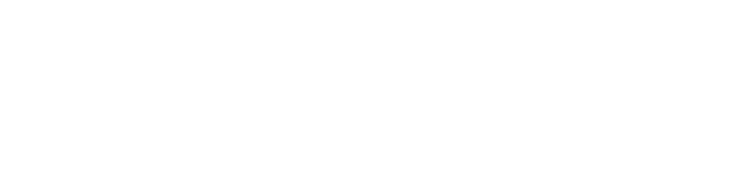 Logo atexxi Systems Weiss